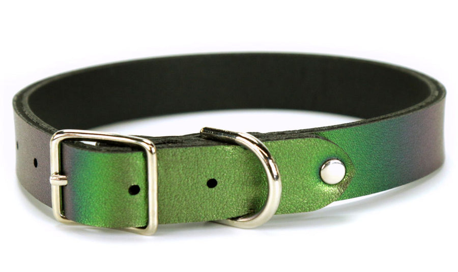 Emerald green dog clearance collar