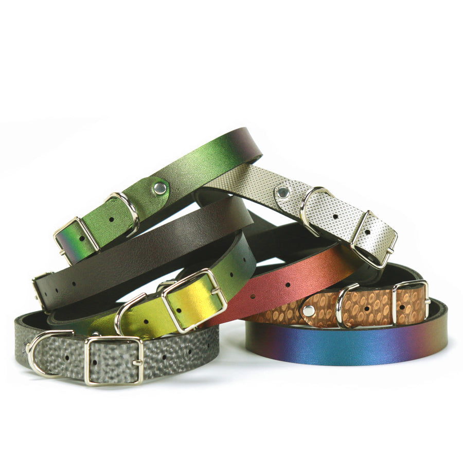 Peacock Dog Collar