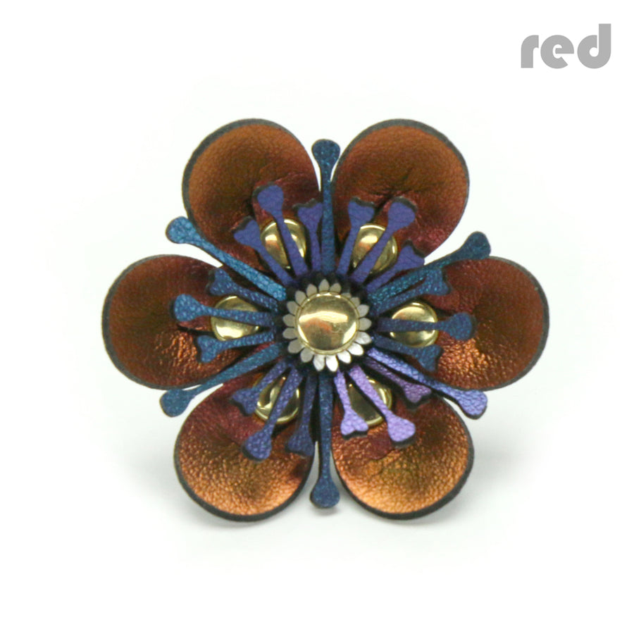 Rings - Mohop