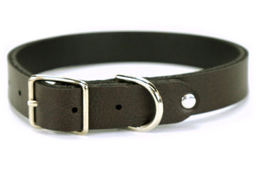 Saddle Dog Collar