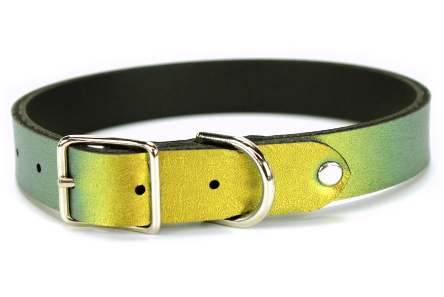 Scarab Dog Collar